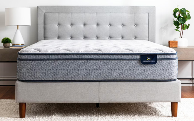 Serta Perfect Sleeper Charlotte 11 5 Inch Medium Plush Mattress