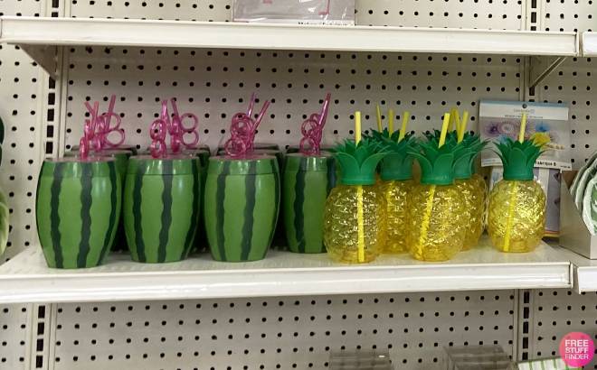 Water melon and Pineapple Tumblers with Straw