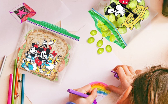 Ziplock Disney Sandwich Bags Containg Sandwich and Fruits