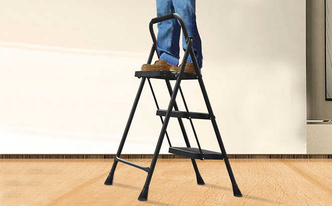 3 Step Folding Ladder