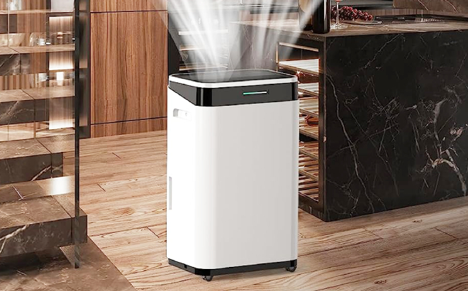 Air Dehumidifier in the Kitchen