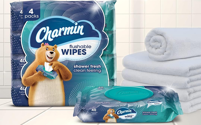 Charmin 160 Count Flushable Wipes