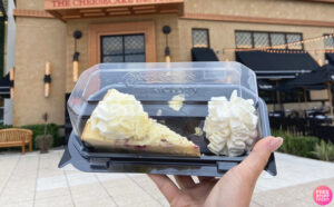 Cheesecake from The Cheesecake Factory