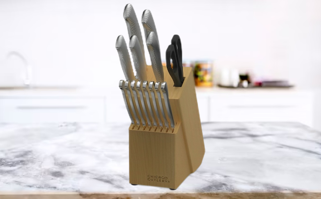 Chicago Cutlery 15 Piece Knife Block Set