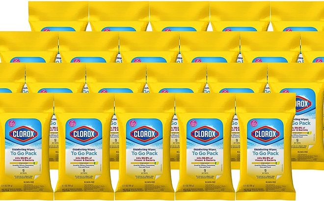 Clorox Disinfecting Wipes On the Go Travel Wipes 24-Pack 