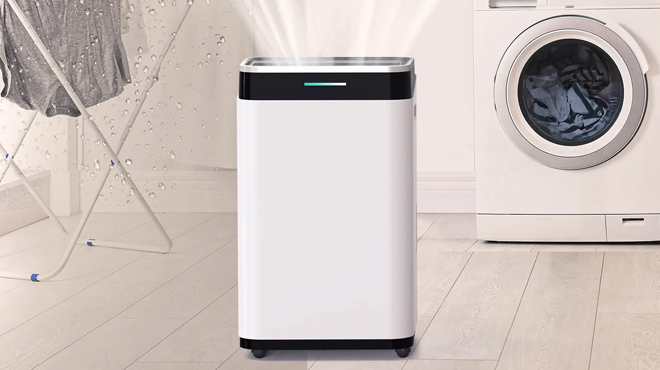 Free Village Dehumidifier in bright white at Amazon