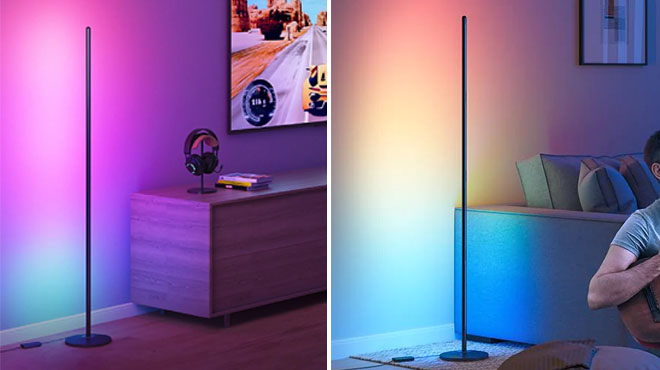 Govee Color Changing Floor Lamp