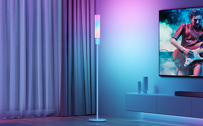 Govee Smart Floor Lamp