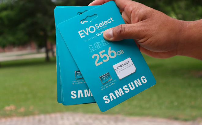 Hand Holding Samsung EVO Select 256GB Micro SD Card