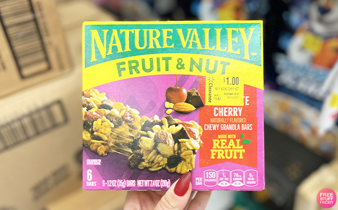 Nature Valley Fruit Nut 6 Count