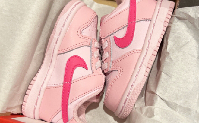 Nike Toddler Dunk Low Shoes