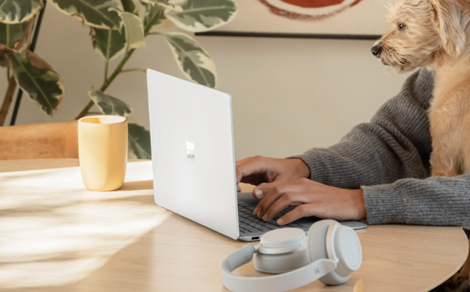 Person Typing on a Laptop with a Dog in their Lap