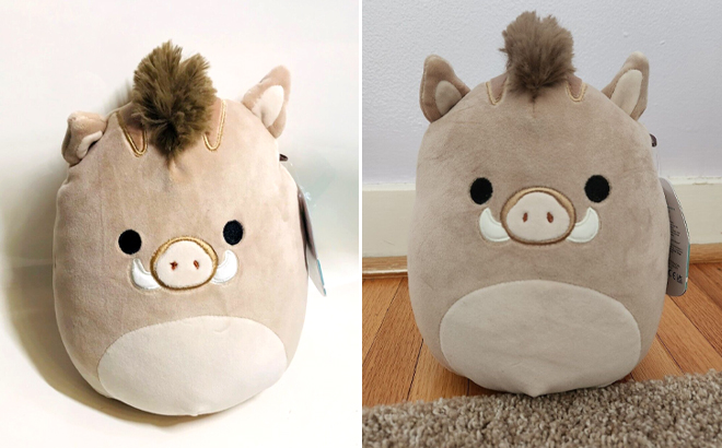 Squishmallows Warren the Boar Plush Toy