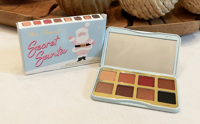 Too Faced Secret Santa Mini Eye Shadow Palette