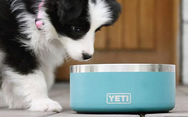 YETI Boomer 4 Cup Dog Bowl