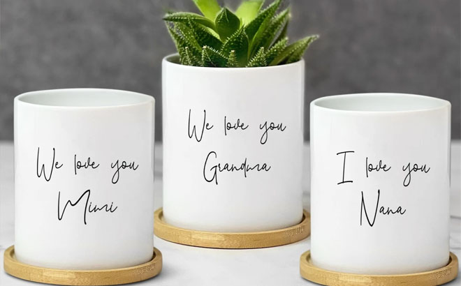 3 Personalized Planter Pot on a Table