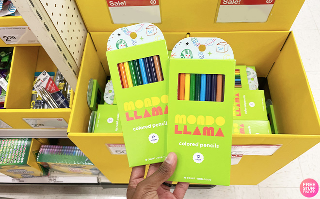 A Person Holding Mondo Llama Colored Pencils