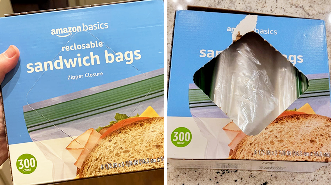 Amazon Basics 300 Count Sandwich Storage Bags on the Left and Same Item Showing the Plastic Bags on the Right