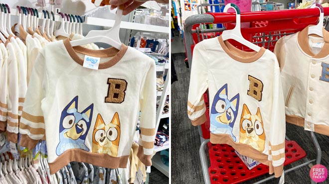 Bluey Toddler Chenille Fleece Pullover Sweatshirt