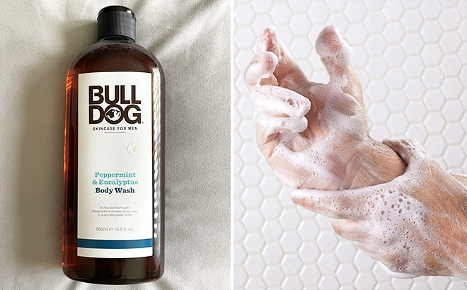 Bulldog Men's Skincare and Grooming Body Wash