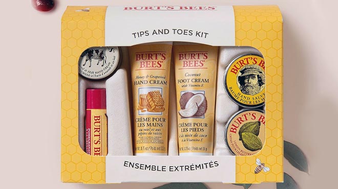 Burts Bees 6 Piece Body Care