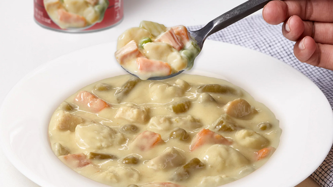 Campbells Chunky Creamy Chicken Dumplings Soup on a plate