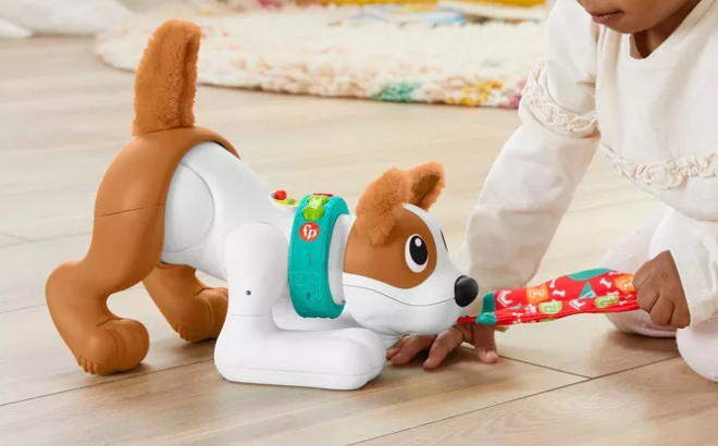 Fisher Price Crawl With Me Puppy Learning Toy