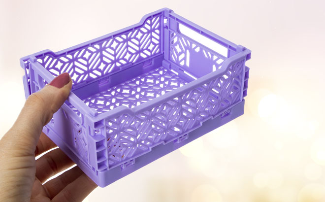 Hand Holding Crate Storage Bin