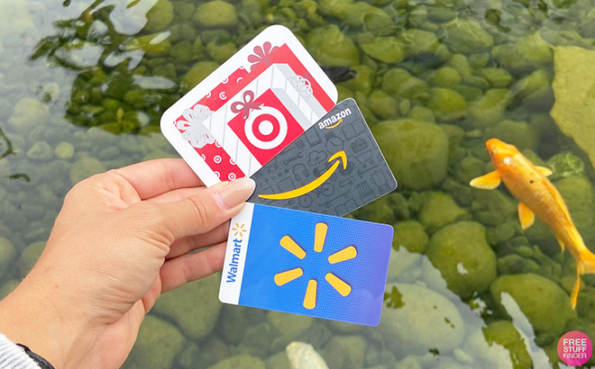 Hand Holding Target Amazon and Walmart Gift Card