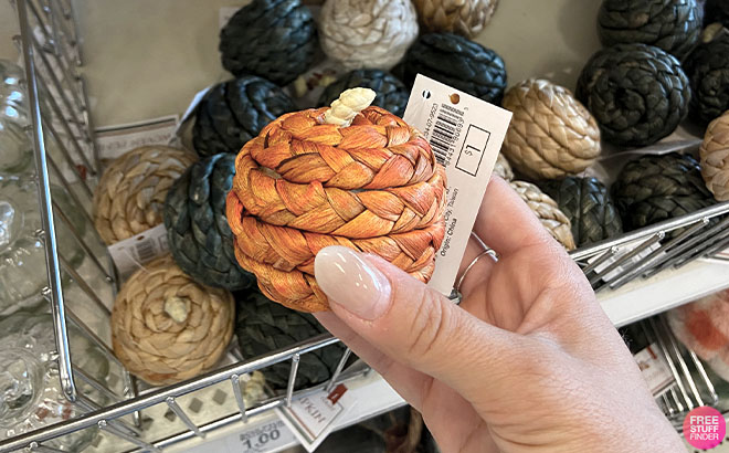 Hand Holding Woven Decorative Pumpkins