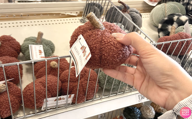 Hand Holding a Sherpa Decorative Pumpkin