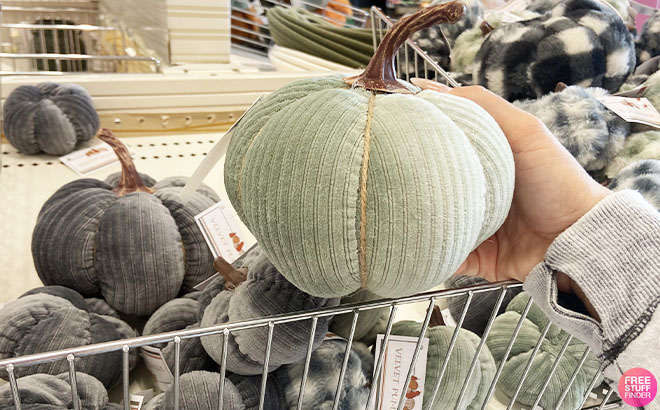 Hand Holding a Velvet Decorative Pumpkin