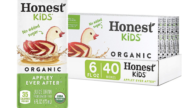 Honest Kids Organic Juice 40 Count