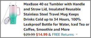 Insulated Stainless Travel Mug Checkout Screenshot