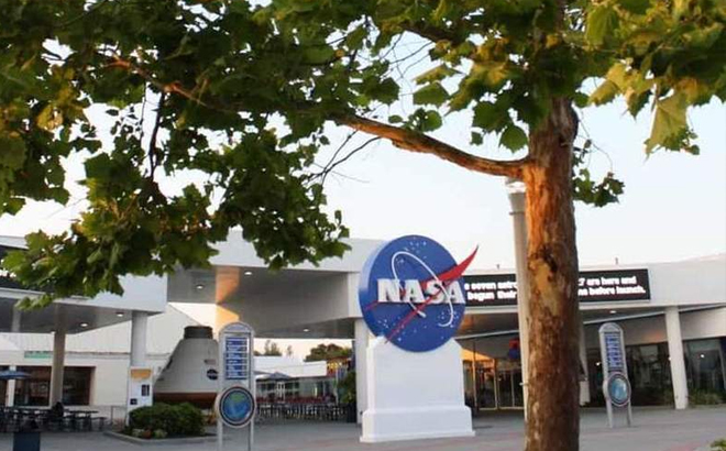 NASA Office with Moon Tree