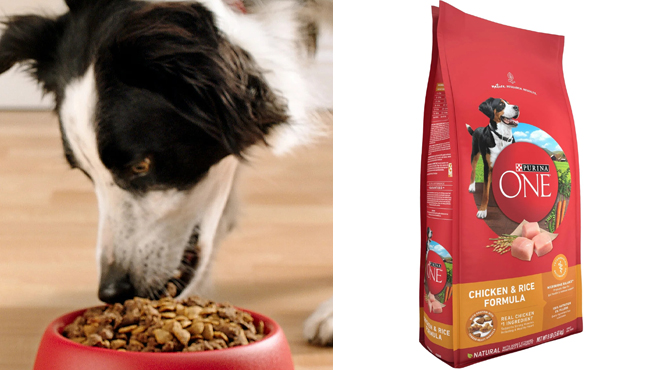 Purina ONE 40 Pound Chicken and Rice Formula Dry Dog Food