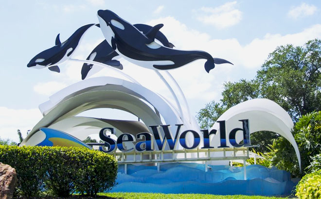 SeaWorld