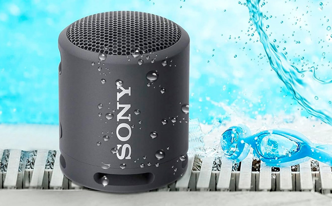 Sony Bluetooth Speaker Portable Speakers Bluetooth Wireless