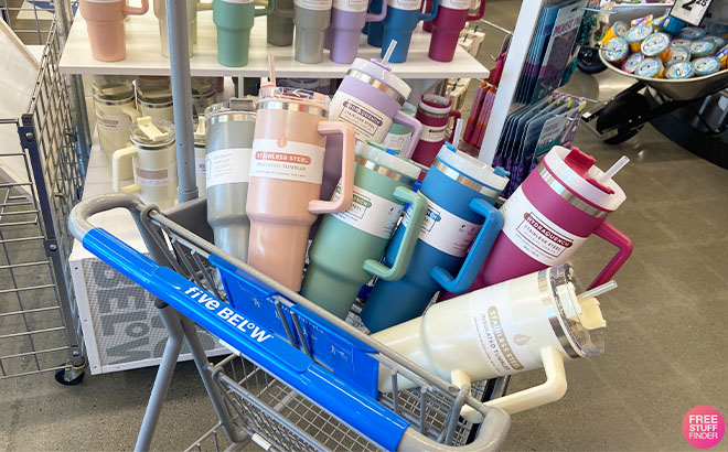 Five Below's Stanley Cup Dupe Is Back in Stock in New Colors