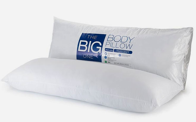 The Big One Body Pillow 2