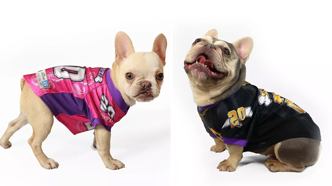 Two Colors of Snoop Doggie Doggs Deluxe Dog Jersey