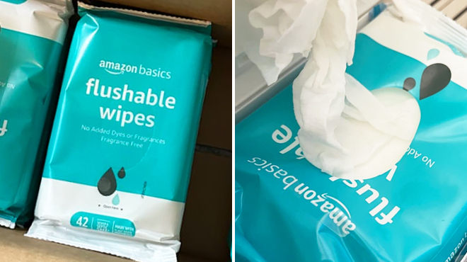 Two Images of Amazon Basics Flushable Adult Toilet Wipes