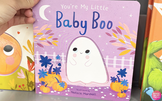 You Are My Little Baby Boo Book