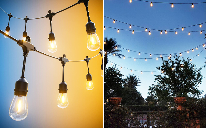 Zuske Outdoor String Lights