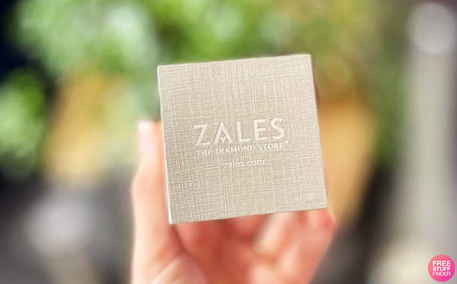 zales necklace box