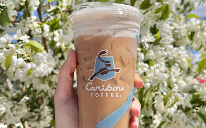 Caribou Coffee