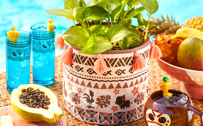 Disney Moana Planter Cover