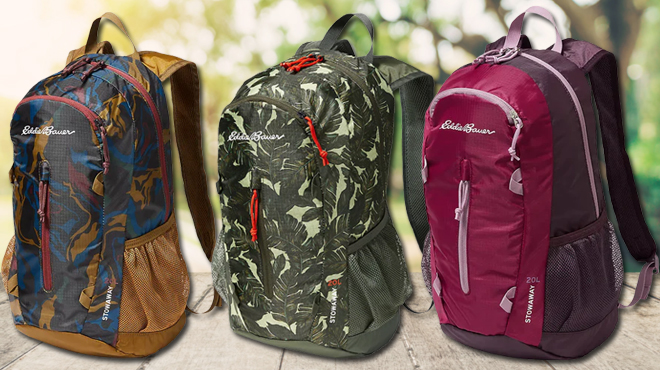 Eddie Bauer Backpack in three different colors