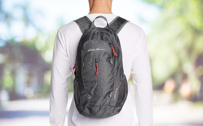 Eddie Bauer Packable 20 Liter Backpack