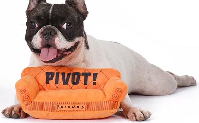 Friends Pivot Couch Plush Squeak Toy for Pets